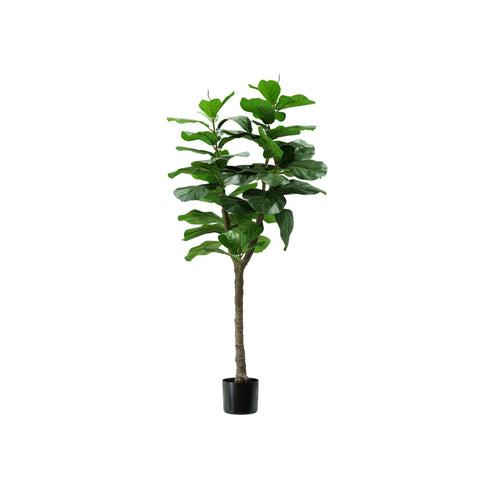 Φυτό Ficus Lyrata από πολυαιθυλένιο με 60 φύλλα και γλάστρα με βρύο 130cm