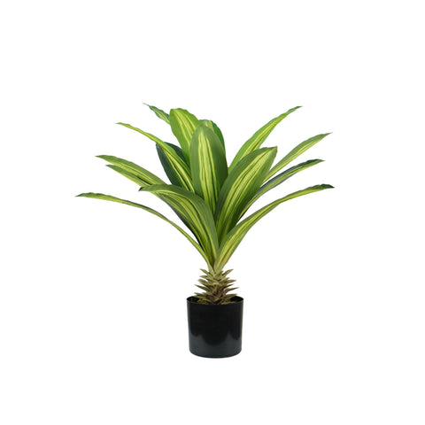 Φυτό Dracaena από πολυαιθυλένιο με 19 φύλλα και γλάστρα με βρύο 60cm