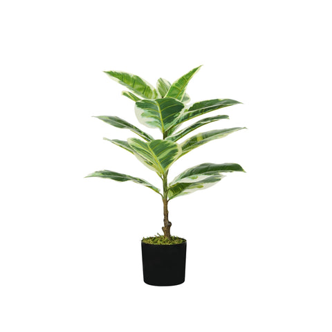 Φυτό Ficus Elastica από πολυαιθυλένιο με 15 φύλλα και γλάστρα με βρύο 65cm