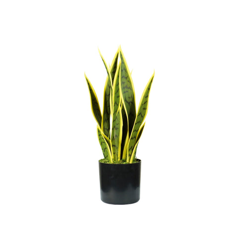 Φυτό Sansevieria από πολυαιθυλένιο με 12 φύλλα σε γλάστρα με βρύο 45cm
