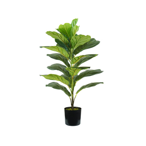 Φυτό Ficus Lyrata από πολυαιθυλένιο με 21 φύλλα και γλάστρα με βρύο 75cm