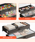 Contenitori Sottoletto con Ruote – Set 2 Pezzi XXL 54L Salvaspazio