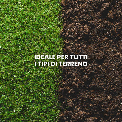 Risultati della rigenerazione del prato con semi Euroseme, ideale per tutti i tipi di terreno e riparazione zone vuote